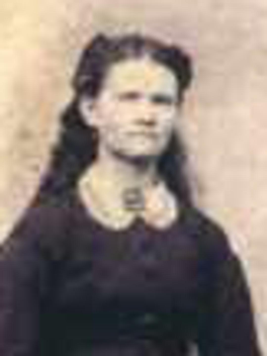 Olive Lewis (1848 - 1880) Profile